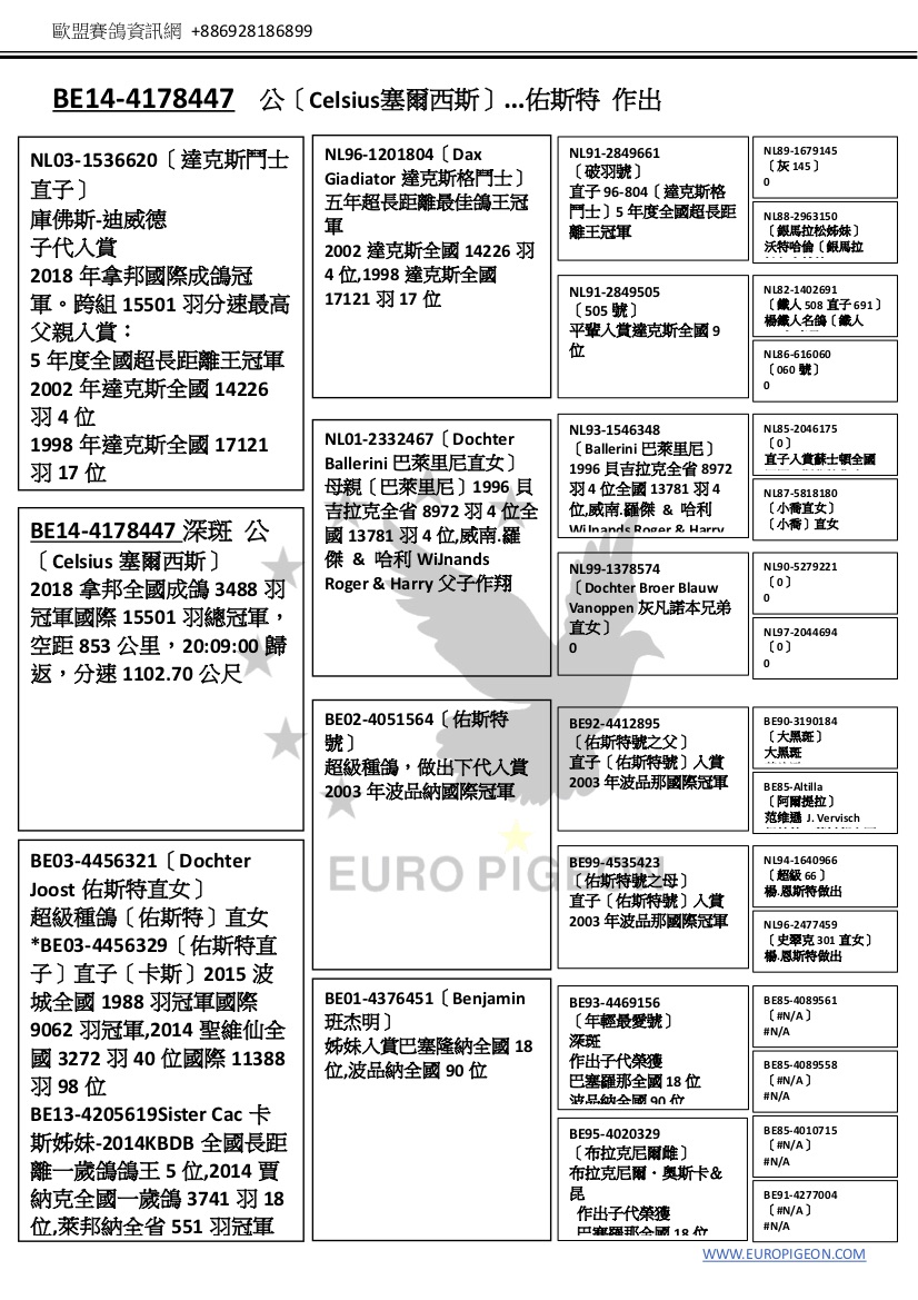 歐盟賽鴿資訊網 +886928186899   BE14-4178447 公〔Celsius塞爾西斯〕...佑斯特 作出      NL03-1536620〔達克斯鬥士 直子〕 庫佛斯-迪威德 子代入賞 2018 年拿邦國際成鴿冠 軍。跨組 15501 羽分速最高 父親入賞: 5 年度全國超長距離王冠軍 2002 年達克斯全國 14226 羽4位 1998 年達克斯全國 17121 羽 17 位  1999+01 年獲得: NL96-1201804〔Dax Giadiator 達克斯格鬥士〕 五年超長距離最佳鴿王冠 軍 2002 達克斯全國 14226 羽 4 位,1998 達克斯全國 17121 羽 17 位 NL91-2849661 〔破羽號〕 直子 96-804〔達克斯格 鬥士〕5 年度全國超長距 離王冠軍 NL91-2849505 〔505 號〕 平輩入賞達克斯全國 9 位  達克斯全國 70 位+ 85 位 BE14-4178447 深斑 公 〔Celsius 塞爾西斯〕 2018 拿邦全國成鴿 3488 羽 冠軍國際 15501 羽總冠軍， 空距 853 公里，20:09:00 歸 返，分速 1102.70 公尺 父子作翔  波品納全國 90 位 WWW.EUROPIGEON.COM NL89-1679145 〔灰 145〕 0  NL88-2963150 〔銀馬拉松姊妹〕 沃特哈倫〔銀馬拉 松〕全姊妹  NL82-1402691 〔鐵人 508 直子 691〕 楊鐵人名鴿〔鐵人 508〕直子  NL86-616060 〔060 號〕 0     NL01-2332467〔Dochter Ballerini 巴萊里尼直女〕 母親〔巴萊里尼〕1996 貝 吉拉克全省 8972 羽 4 位全 國 13781 羽 4 位,威南.羅 傑 & 哈利 WiJnands Roger & Harry 父子作翔 NL93-1546348 〔Ballerini 巴萊里尼〕 1996 貝吉拉克全省 8972 羽 4 位全國 13781 羽 4 位,威南.羅傑 & 哈利 WiJnands Roger & Harry NL85-2046175 〔0〕 直子入賞蘇士頓全國 冠軍，斯秘特作出  NL87-5818180 〔小喬直女〕 〔小喬〕直女   全NL兄99弟-13〔78蘇57斯4頓〕1992 〔蘇斯Do頓ch全ter國Br2o0e2r6B4la羽uw冠 V軍anoppen 灰凡諾本兄弟 直女〕 0 NL90-5279221 〔0〕 0  NL97-2044694 〔0〕 0    BE02-4051564〔佑斯特 號〕 超級種鴿，做出下代入賞 2003 年波品納國際冠軍 BE92-4412895 〔佑斯特號之父〕 直子〔佑斯特號〕入賞 2003 年波品那國際冠軍 BE90-3190184 〔大黑斑〕 大黑斑 范维遜 J.Vervisch  BE85-Altilla 〔阿爾提拉〕 范维遜 J.Vervisch 姐妹鴿:蒙托邦全國 2  位 NL94-1640966 〔超級 66〕 楊.恩斯特做出   BE03-4456321〔Dochter Joost 佑斯特直女〕 超級種鴿〔佑斯特〕直女 *BE03-4456329〔佑斯特直 子〕直子〔卡斯〕2015 波 城全國 1988 羽冠軍國際 9062 羽冠軍,2014 聖維仙全 國 3272 羽 40 位國際 11388 羽 98 位 BE13-4205619Sister Cac 卡 斯姊妹-2014KBDB 全國長距 離一歲鴿鴿王 5 位,2014 賈 納克全國一歲鴿 3741 羽 18 位,萊邦納全省 551 羽冠軍 BE99-4535423 〔佑斯特號之母〕 直子〔佑斯特號〕入賞 2003 年波品那國際冠軍     BE01-4376451〔Benjamin 班杰明〕 姊妹入賞巴塞隆納全國 18 位,波品納全國 90 位 BE93-4469156 〔年輕最愛號〕 深斑 作出子代榮獲 巴塞羅那全國 18 位 波品納全國 90 位 BE95-4020329 〔布拉克尼爾雌〕 布拉克尼爾.奧斯卡& 昆 作出子代榮獲 巴寒羅那全國 18 位 NL96-2477459 〔史翠克 301 直女〕 楊.恩斯特做出 BE85-4089561 〔#N/A〕 #N/A  BE85-4089558 〔#N/A〕 #N/A   BE85-4010715 〔#N/A〕 #N/A  BE91-4277004 〔#N/A〕 #N/A  