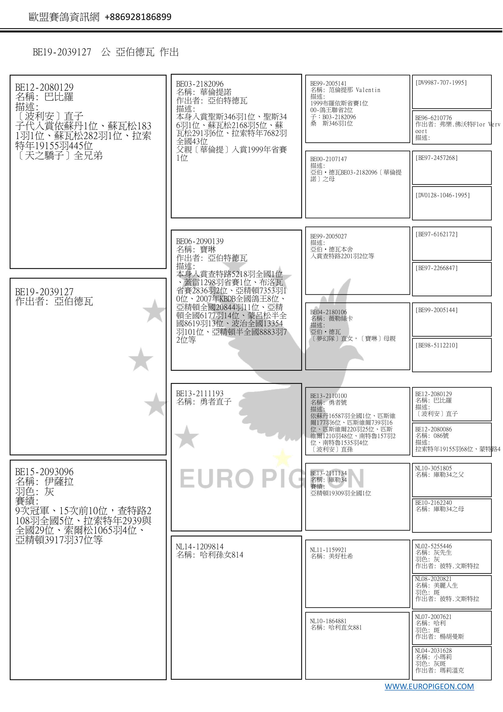 描述: http://www.europigeon.com/files/kcfinder/images/2019Golden10/Albert%20Derwa/BE19-2039127Pedigree-C.jpg