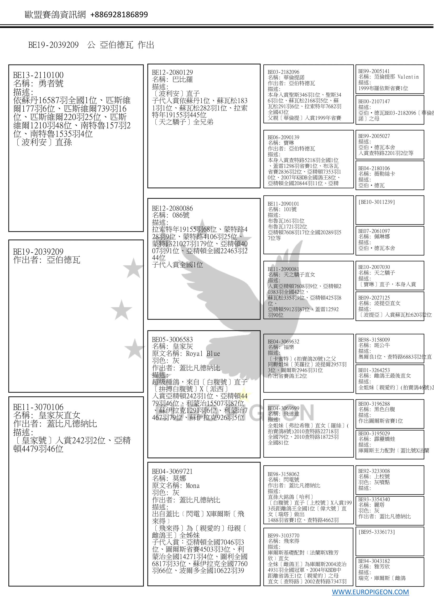 描述: http://www.europigeon.com/files/kcfinder/images/2019Golden10/Albert%20Derwa/BE19-2039209Pedigree-C.jpg