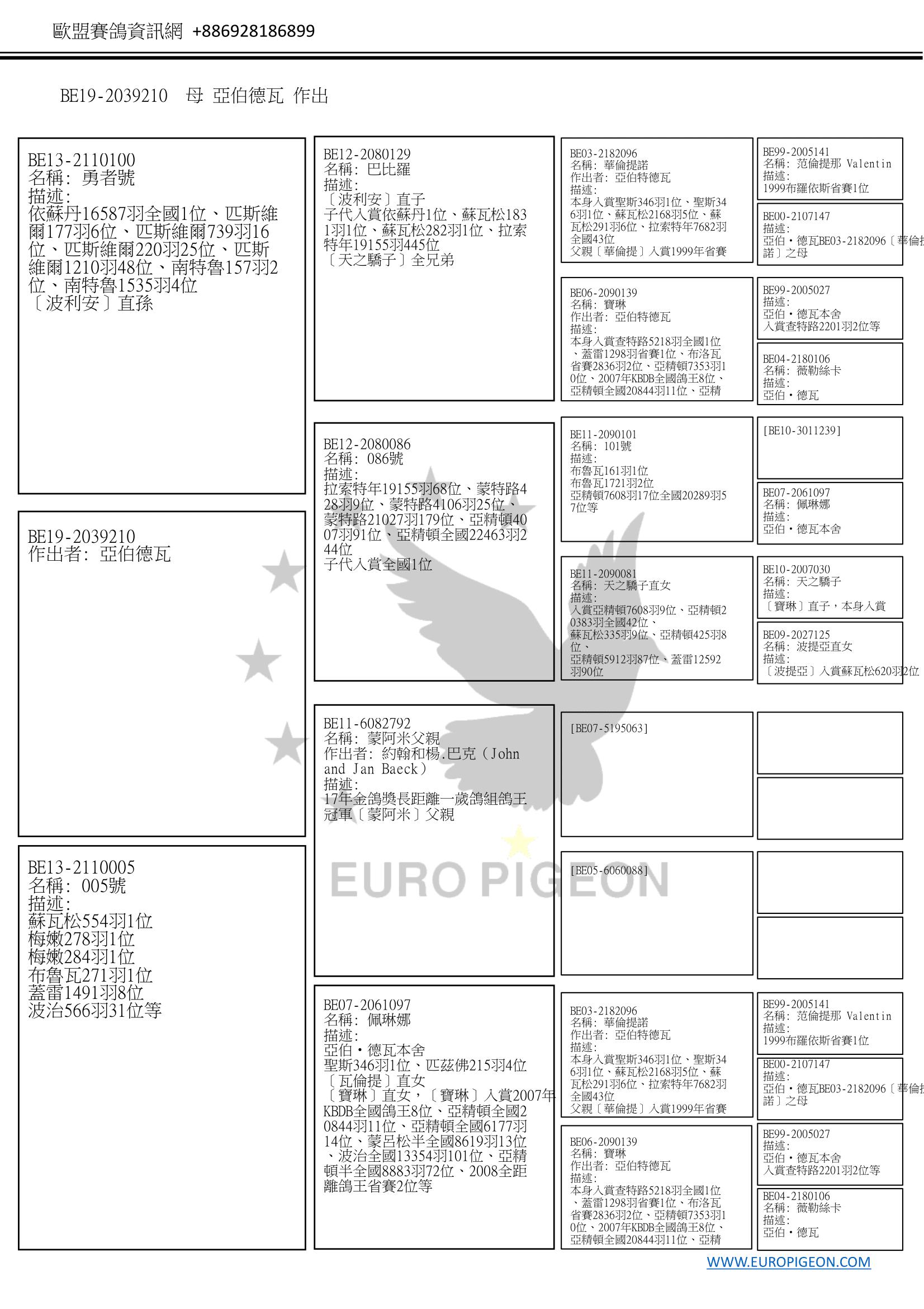 描述: http://www.europigeon.com/files/kcfinder/images/2019Golden10/Albert%20Derwa/BE19-2039210Pedigree-C.jpg