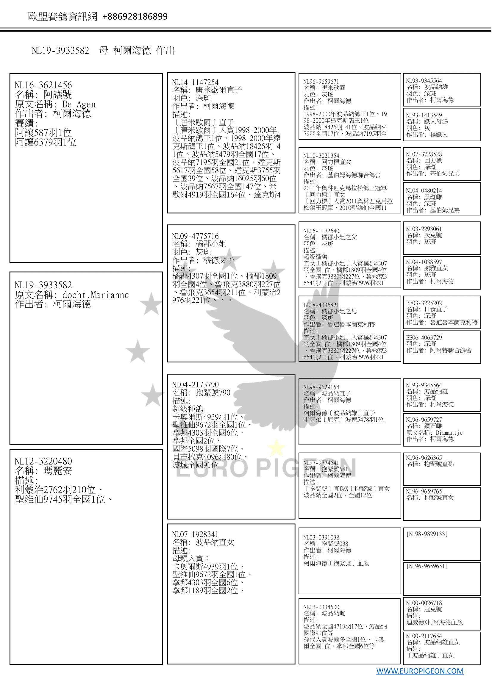 描述: http://www.europigeon.com/files/kcfinder/images/2019Golden10/De-Heijde/NL19-3933582Pedigree-C.jpg