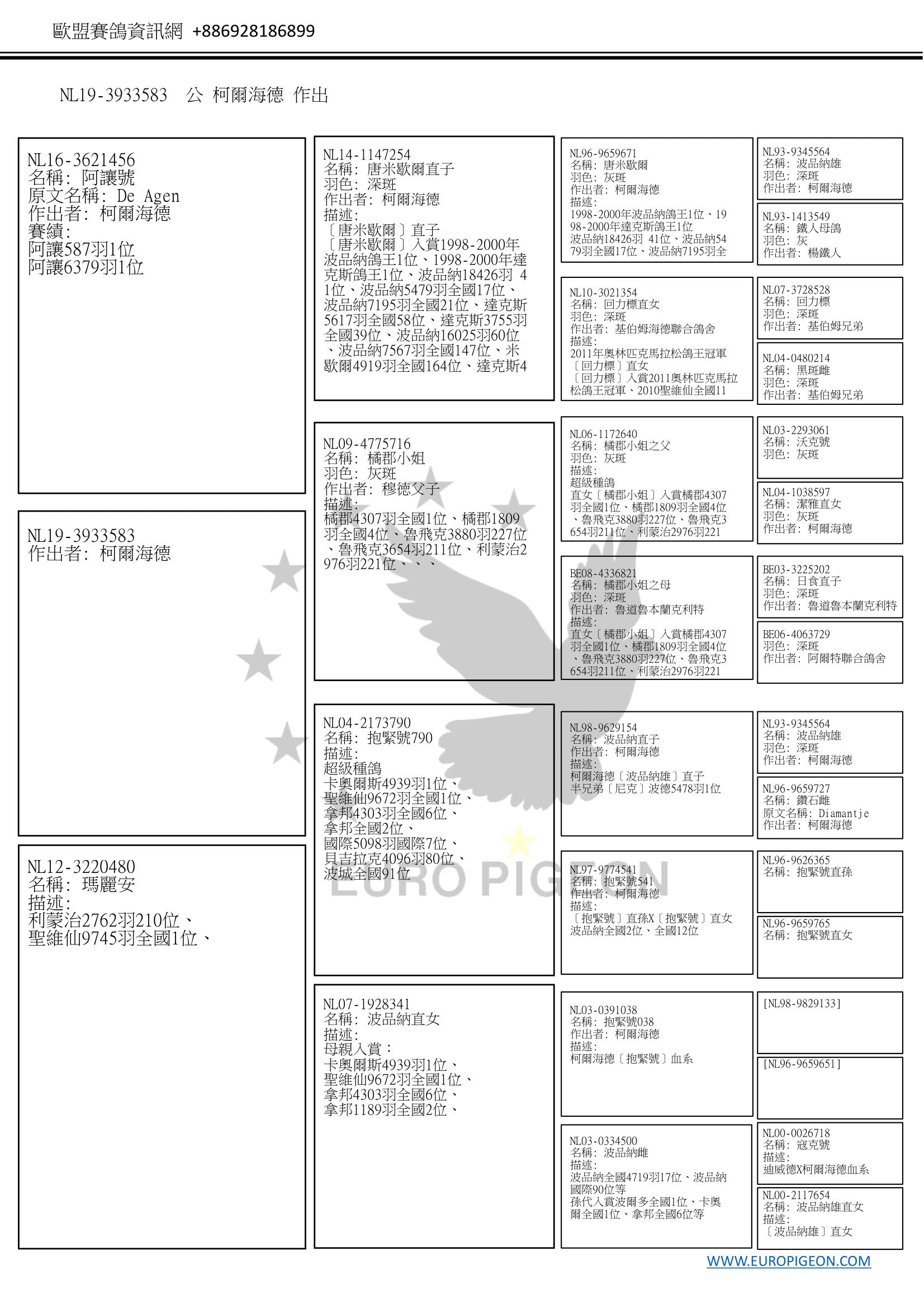 描述: http://www.europigeon.com/files/kcfinder/images/2019Golden10/De-Heijde/NL19-3933583Pedigree-C.jpg