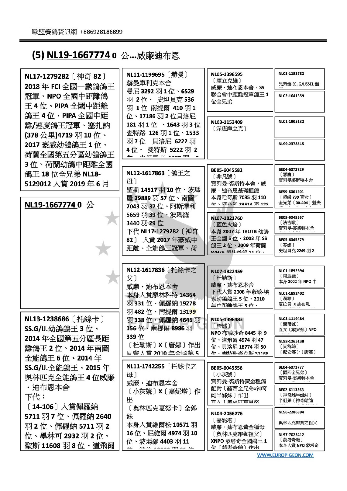 威廉迪布恩 NL19-1667774 父：NL17-1279282〔神奇82〕 母：NL13-1238686〔托絲卡〕 SS.G/IJ.幼鴿鴿王3位、2014年全國第五分區長距離鴿王2位、2014年南圖全能鴿王6位、2014年 SS.G/IJ.全能鴿王、2015年奧林匹克全能鴿王4位威廉・迪布恩本舍 NL11-1742255〔托絲卡之母〕 威廉・迪布恩本舍 〔小灰號〕X〔嘉妮塔〕作出 〔奧林匹克夏努卡〕全姊妹 阿波羅後代 