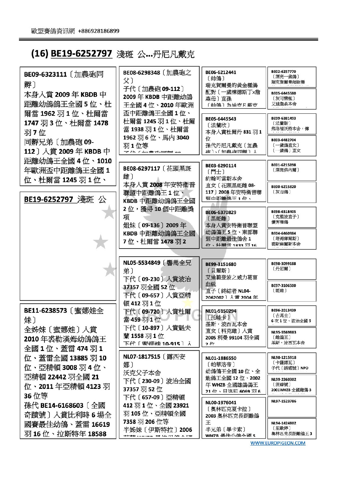 丹尼凡戴克 BE19-6252797  父：BE09-6323111〔加農砲同孵〕 本身入賞2009年KBDB中距離幼鴿鴿王全國5位、杜爾當1962羽1位、杜爾當1747羽3位、杜爾當1478羽7位 同孵兄弟〔加農砲09-112〕入賞2009年KBDB中距離幼鴿王全國4位  瑞克賀爾曼 帥鴿 母：BE11-6238573〔蜜娜娃全妹〕 全姊妹〔蜜娜娃〕入賞2010年裘勒漢姆幼鴿鴿王全國1位、蓋雷474羽1位、蓋雷全國13885羽10位、亞精頓3008羽4位、亞精頓22442羽全國21位、2011年亞精頓4123羽36位等 孫代BE14-6168603〔全國奇蹟號〕入賞比利時6場全國賽最佳幼鴿、蓋雷16619羽16位、拉斯特 祖父：BE08-6298348〔加農砲之父〕 子代［加農砲09-112］2009年KBDB中距離幼鴿王全國4位、2010年歐洲盃中距離鴿王全國1位、杜爾當1245羽1位、杜爾當1938羽1位、杜爾當1962羽6 祖母：BE08-6297117〔花頭黑斑雌〕 本身入賞2008年安特衛普聯盟中距離鴿王1位、KBDB中距離幼鴿鴿王全國2位，獲得10個中距離獎項 外祖父： NL05-5534849〔響馬全兄弟〕 下代［09-230］入賞波治37357羽全國52位 下代［09-657］入賞亞精頓412羽1位 外祖母：NL07-1817515〔露西安娜〕 沃克父子本舍 下代〔230-09〕波治全國37357羽52位 下代〔657-09〕亞精頓412羽1位、全國23921羽105位、亞精頓全國7358羽 