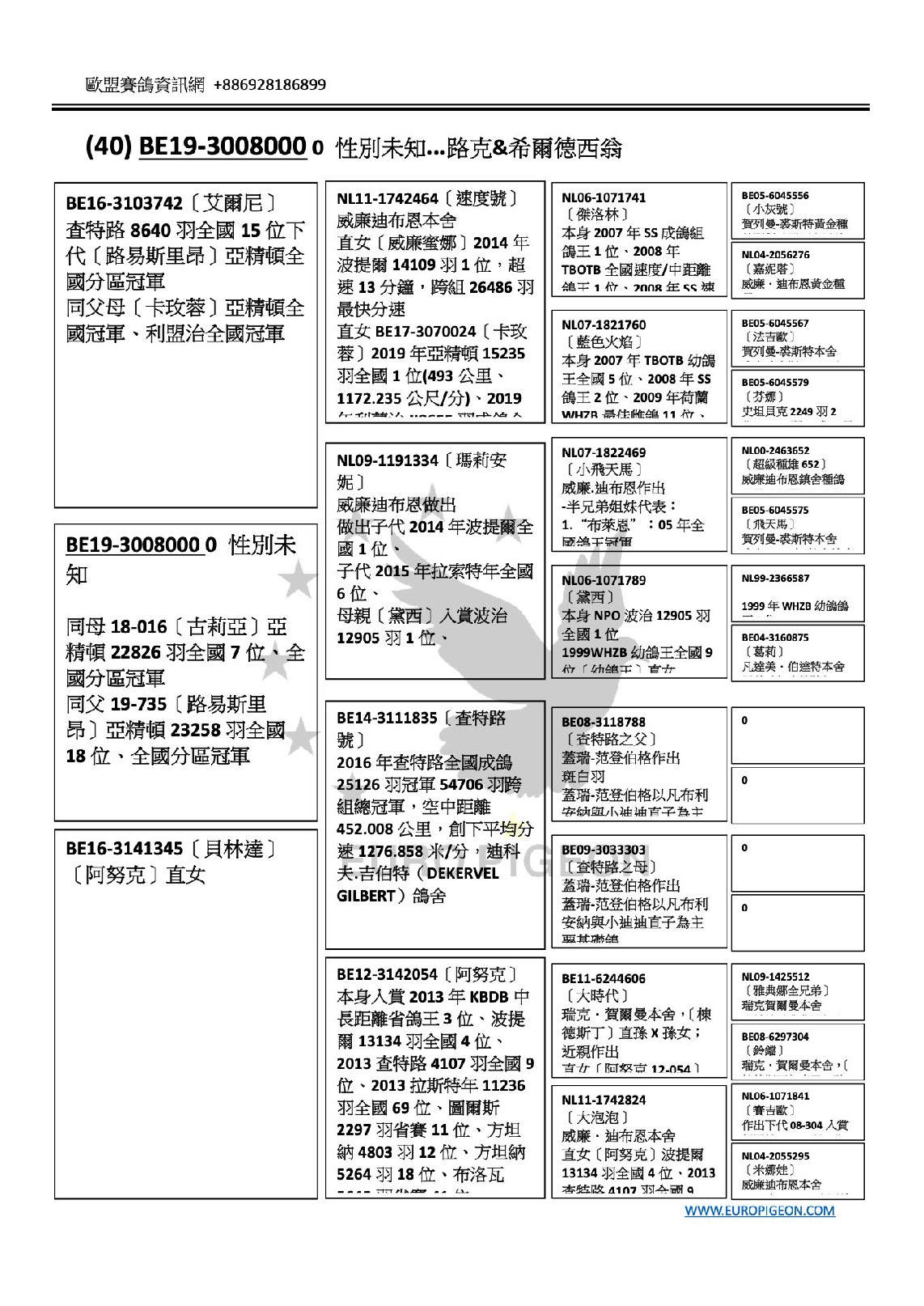 路克&希爾德西翁 BE19-3008000 父：BE16-3103742〔艾爾尼〕 查特路8640羽全國15位下代〔路易斯里昂〕亞精頓全國分區冠軍 同父母〔卡玫蓉〕亞精頓全國冠軍、利盟治全國冠軍 40號 2020年金鴿獎拍賣會 路克&希爾德西翁 母：BE16-3141345〔貝林達〕 〔阿努克〕直女 祖父：NL11-1742464〔速度號〕 威廉迪布恩本舍 直女［威廉蜜娜］2014年波提爾14109羽1位，超速13分鐘，跨組26486羽最快 祖母：NL09-1191334〔瑪莉安妮〕 威廉迪布恩做出 做出子代2014年波提爾全國1位、 外祖父： BE14-3111835〔查特路號〕 2016年查特路全國成鴿25126羽冠軍54706羽跨組總冠軍，空中距離452.008公里，創下平均分速1276.858米/分，迪科夫.吉伯特（DEKERVEL GILBERT）鴿舍 外祖母：BE12-3142054〔阿努克〕 本身入賞2013年KBDB中長距離省鴿王3位、波提爾13134羽全國4位、2013查特路4107羽全國9位、2013拉斯特年11236羽全國69位、圖爾斯2297羽省賽11位、方坦納4803羽12位、方坦納5264羽18位 威廉迪布恩 小灰號 傑洛林