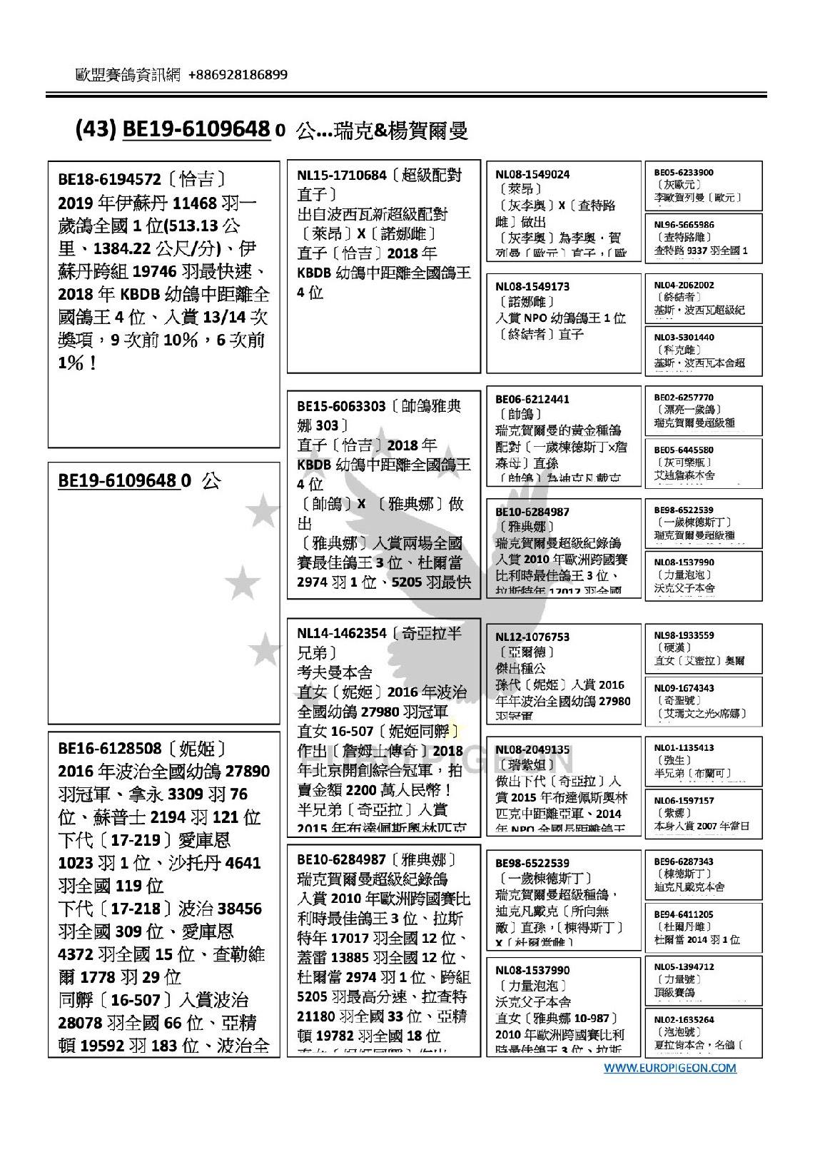 瑞克&楊賀爾曼 BE19-6109648 父：BE18-6194572〔恰吉〕 2019年伊蘇丹11468羽一歲鴿全國1位(513.13公里、1384.22公尺/分)、伊蘇丹跨組19746羽最快速、2018年KBDB幼鴿中距離全國鴿王4位、入賞13/14次獎項，9次前10％，6次前1％！ 43號 2020年金鴿獎拍賣會 瑞克&楊賀爾曼 母：BE16-6128508〔妮姬〕 2016年波治全國幼鴿27890羽冠軍、拿永3309羽76位、蘇普士2194羽121位 下代［17-219］愛庫恩1023羽1位、沙托丹4641羽全國119位 下代［17-218］波治38456羽全國309位、愛庫恩4372羽全國15位、查勒維爾1778羽29位 祖父：NL15-1710684〔超級配對直子〕 出自波西瓦新超級配對〔萊昂〕X〔諾娜雌〕 直子〔恰吉〕2018年KBDB幼鴿中距離全國鴿王4位 祖母：BE15-6063303〔帥鴿雅典娜303〕 直子〔恰吉〕2018年KBDB幼鴿中距離全國鴿王4位 ［帥鴿］X ［雅典娜］做出 外祖父： NL14-1462354〔奇亞拉半兄弟〕 考夫曼本舍 直女〔妮姬〕2016年波治全國幼鴿27980羽冠軍 外祖母：BE10-6284987〔雅典娜〕 瑞克賀爾曼超級紀錄鴿 入賞2010年歐洲跨國賽比利時最佳鴿王3位、拉斯特年17017羽全國12位、蓋雷13885羽全國12位、杜爾當2974羽1位、跨組5205羽最高分速