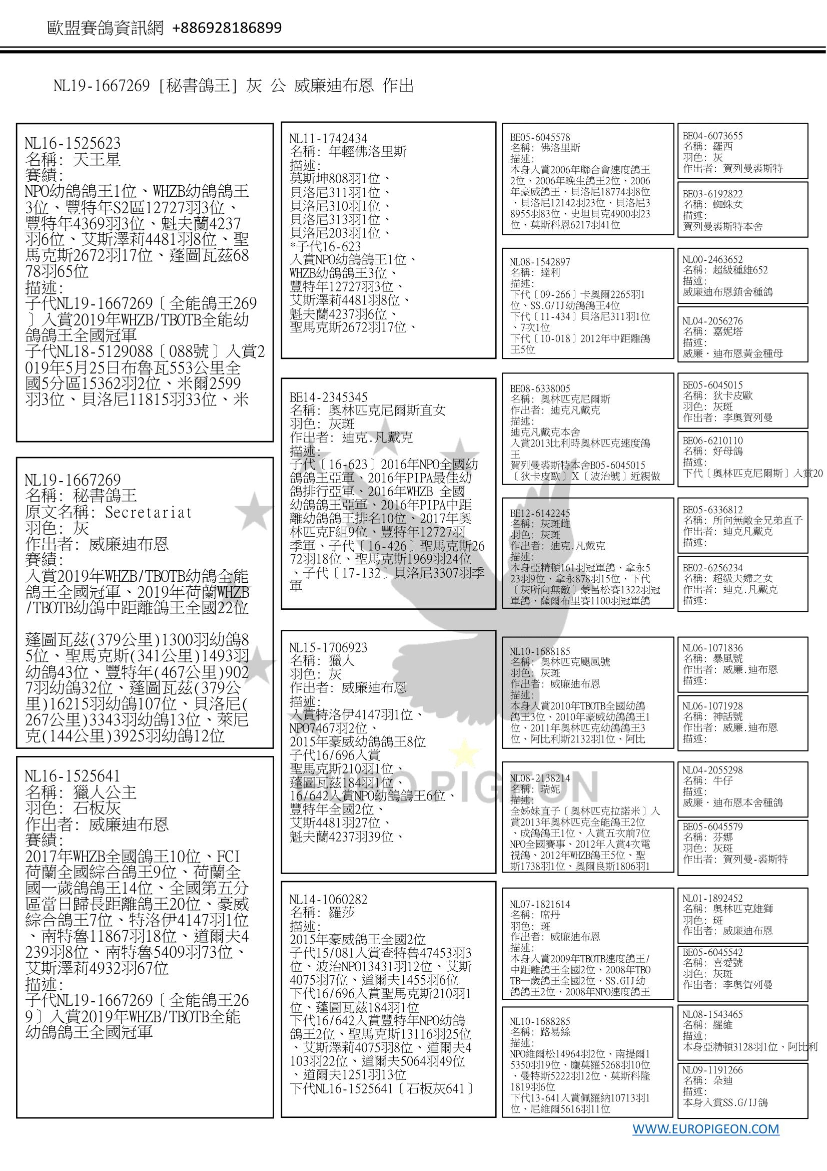 NL19-1667269［秘書鴿王］ 公 W.A. de Bruijn(威廉迪布恩) 2019年WHZB/TBOTB幼鴿全能鴿王全國冠軍、 蓬圖瓦茲(379公里)1300羽幼鴿85位、 聖馬克斯(341公里)1493羽幼鴿43位、 豐特年(467公里)9027羽幼鴿32位、 蓬圖瓦茲(379公里)16215羽幼鴿107位、 貝洛尼(267公里)3343羽幼鴿13位、 萊尼克(144公里)3925羽幼鴿12位等 ◎ 迪布恩四大鴿系[奧林匹克颶風號]第三代種雌[獵人公主]之子 BE05-6045578佛洛里斯 NL16-1525623天王星 BE08-6338005奧林匹克尼爾斯 奧林匹克雄獅 NL07-1821614席丹