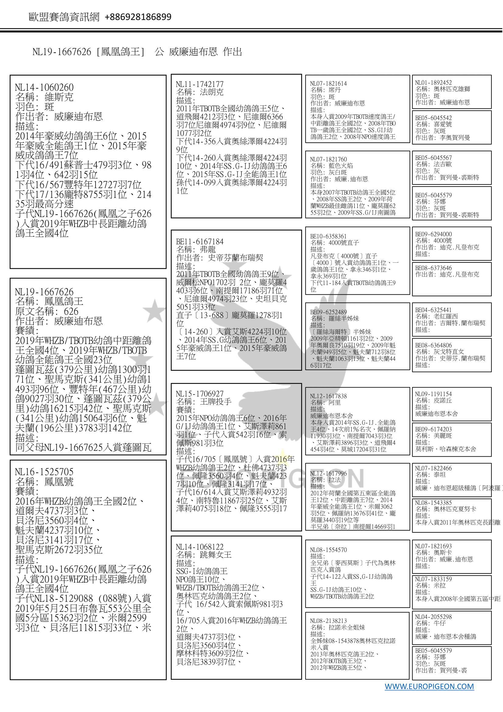 NL19-1667626［鳳凰鴿王］ 公 W.A. de Bruijn(威廉迪布恩) 2019年WHZB/TBOTB幼鴿中距離鴿王全國4位、 2019年WHZB/TBOTB幼鴿全能鴿王全國23位、 蓬圖瓦茲(379公里)幼鴿1300羽171位、 聖馬克斯(341公里)幼鴿1493羽96位、 豐特年(467公里)幼鴿9027羽30位、 蓬圖瓦茲(379公里)幼鴿16215羽42位、 聖馬克斯(341公里)幼鴿15064羽6位等 ◎ 迪布恩迪布恩三大鴿系〔奧林匹克雄獅〕、〔小灰號〕、〔阿波羅〕後代 NL14-1060260 維斯克NL16-1525705 鳳凰號