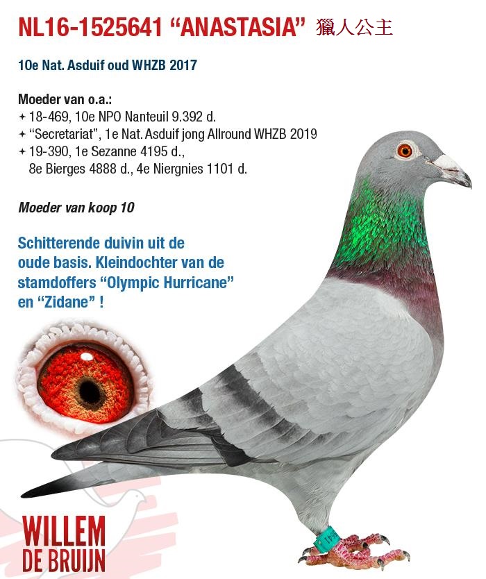 WillemdeBruijn威廉迪布恩2021年台灣現場拍賣會NL16-1525641獵人公主