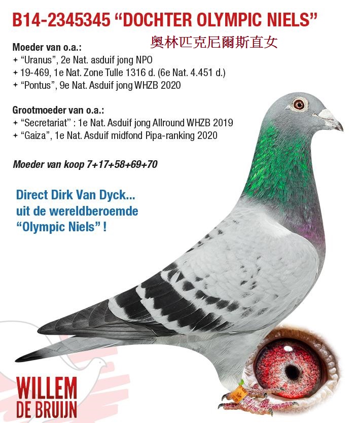 WillemdeBruijn威廉迪布恩2021年台灣現場拍賣會BE14-2345345奧林匹克尼爾斯直女