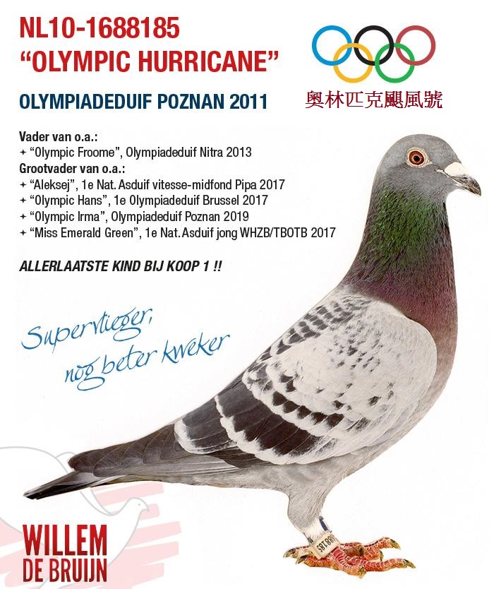 WillemdeBruijn威廉迪布恩2021年台灣現場拍賣會NL10-1688185奧林匹克颶風號