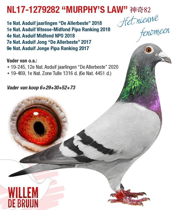 WillemdeBruijn威廉迪布恩2021年台灣現場拍賣會NL17-1279282神奇82