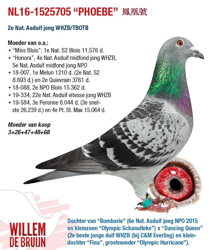 WillemdeBruijn威廉迪布恩2021年台灣現場拍賣會NL16-1525705鳳凰號