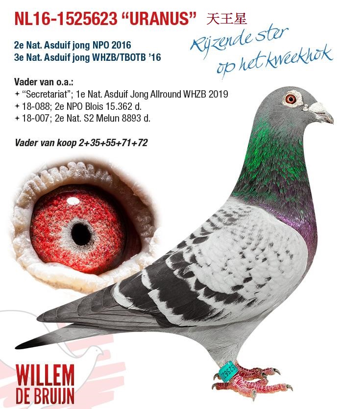 WillemdeBruijn威廉迪布恩2021年台灣現場拍賣會NL16-1525623天王星