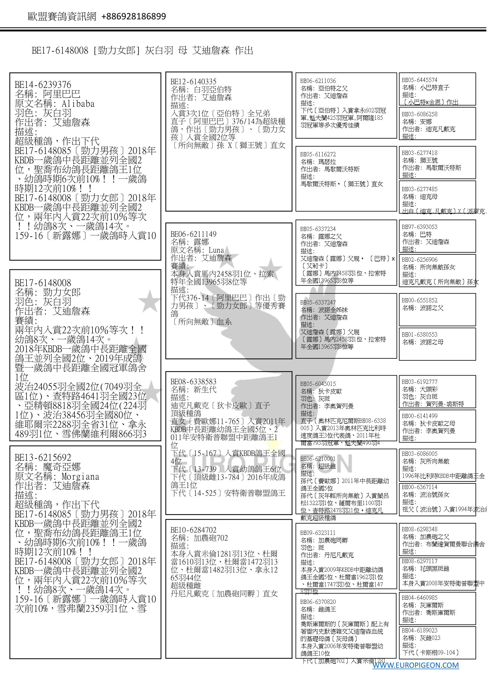 鴿子資訊 環號: BE17-6148088【白羽血鼻號】 姓名: - 性別: 公 顏色: 灰白羽 眼睛顏色: - 色環: - 描述 全兄弟126-16〔留力克〕比利時中距離鴿王全國20位 全兄弟088-17〔白羽血鼻號〕2018年KBDB一歲鴿中長距離並列全國2位，查特路12150羽全國51位、梅倫1671羽16位、雪弗蘭1285羽6位 全兄弟085-18〔雷木斯〕2018年KBDB幼鴿中距離並列全國2位，入賞雪佛蘭1179羽1位、基耶夫蘭513羽1位、米倫851羽3位、米倫3974羽1位 全兄弟143-18〔羅慕勒斯〕2018年KBDB幼鴿中距離並列全國2位，拿永498羽3位、雪弗蘭1179羽3位、梅倫646羽3位、馬克斯1310羽8位 比賽紀錄 查特路12150羽全國51位 梅倫1671羽16位 雪弗蘭1285羽6位 查特路4641羽全國56位 蘇列克338羽32位 艾索當10603羽全國35羽 父母及重要親屬 關係	描述 父親鴿	環號: BE14-6239033 姓名: 血鼻號 性別: ♂ 出生年: 2014 作出者: 艾迪詹森 描述: 作出下代： 126-16〔留力克〕比利時中距離鴿王全國20位 088-17〔白羽血鼻號〕2018年KBDB一歲鴿中長距離並列全國2位，查特路12150羽全國51位、梅倫1671羽16位、雪弗蘭1285羽6位 085-18〔雷木斯〕2018年KBDB幼鴿中距離並列全國2位，入賞雪佛蘭1179羽1位、基耶夫蘭513羽1位、米倫851羽3位、米倫3974羽1位 143-18〔羅慕勒斯〕2018年KBDB幼鴿中距離並列全國2位，拿永498羽3位、雪弗蘭1179羽3位、梅倫646羽3位、馬克斯1310羽8位 賽績: 蘇普士393羽1位、蘇普士849羽3位、梅嫩887羽4位、蘇普士1381羽13位 ㄴ祖父鴿	環號: BE09-6041278 姓名: 血鼻號父親 性別: ? 出生年: 2009 描述: 〔血鼻號〕父親 ㄴ祖母鴿	環號: BE08-6174937 姓名: 白羽獅王雌 性別: ? 出生年: 2008 描述: 〔獅王號〕直女 作出下代〔血鼻號〕 母親鴿	環號: BE15-6091396 姓名: 超級雌直女 性別: ♀ 出生年: 2015 作出者: 艾迪詹森 描述: 作出下代： 126-16〔留力克〕比利時中距離鴿王全國20位 088-17〔白羽血鼻號〕2018年KBDB一歲鴿中長距離並列全國2位，查特路12150羽全國51位、梅倫1671羽16位、雪弗蘭1285羽6位 085-18〔雷木斯〕2018年KBDB幼鴿中距離並列全國2位，入賞雪佛蘭1179羽1位、基耶夫蘭513羽1位、米倫851羽3位、米倫3974羽1位 143-18〔羅慕勒斯〕2018年KBDB幼鴿中距離並列全國2位，拿永498羽3位、雪弗蘭1179羽3位、梅倫646羽3位、馬克斯1310羽8位 ㄴ祖父鴿	環號: BE05-6054300 姓名: 格鬥士直子 性別: ♂ 出生年: 2005 作出者: 吉林克斯父子 描述: 吉林克斯〔格鬥士〕X〔布魯瓦小姐母親〕 ㄴ祖母鴿	環號: BE06-6210001 姓名: 超級雌 性別: ♀ 出生年: 2006 描述: 孫代〔費歐娜〕2011年中長距離幼鴿王全國5位 孫代〔灰年輕所向無敵〕入賞蒙呂松1322羽1位、薩爾布里1100羽1位、查特路2478羽21位，迪克凡戴克超級種鴿 所向無敵直孫 重要親屬	同父同母兄弟姊妹 環號: BE18-6085143 姓名: 羅慕勒斯 性別: ♂ 出生年: 2018 羽色: 灰 作出者: 艾迪詹森 描述: 全兄弟126-16〔留力克〕比利時中距離鴿王全國20位 全兄弟088-17〔白羽血鼻號〕2018年KBDB一歲鴿中長距離並列全國2位，查特路12150羽全國51位、梅倫1671羽16位、雪弗蘭1285羽6位 全兄弟085-18〔雷木斯〕2018年KBDB幼鴿中距離並列全國2位，入賞雪佛蘭1179羽1位、基耶夫蘭513羽1位、米倫851羽3位、米倫3974羽1位 賽績: 2018年KBDB幼鴿中距離並列全國2位 拿永498羽3位 雪弗蘭1179羽3位 梅倫646羽3位 馬克斯1310羽8位