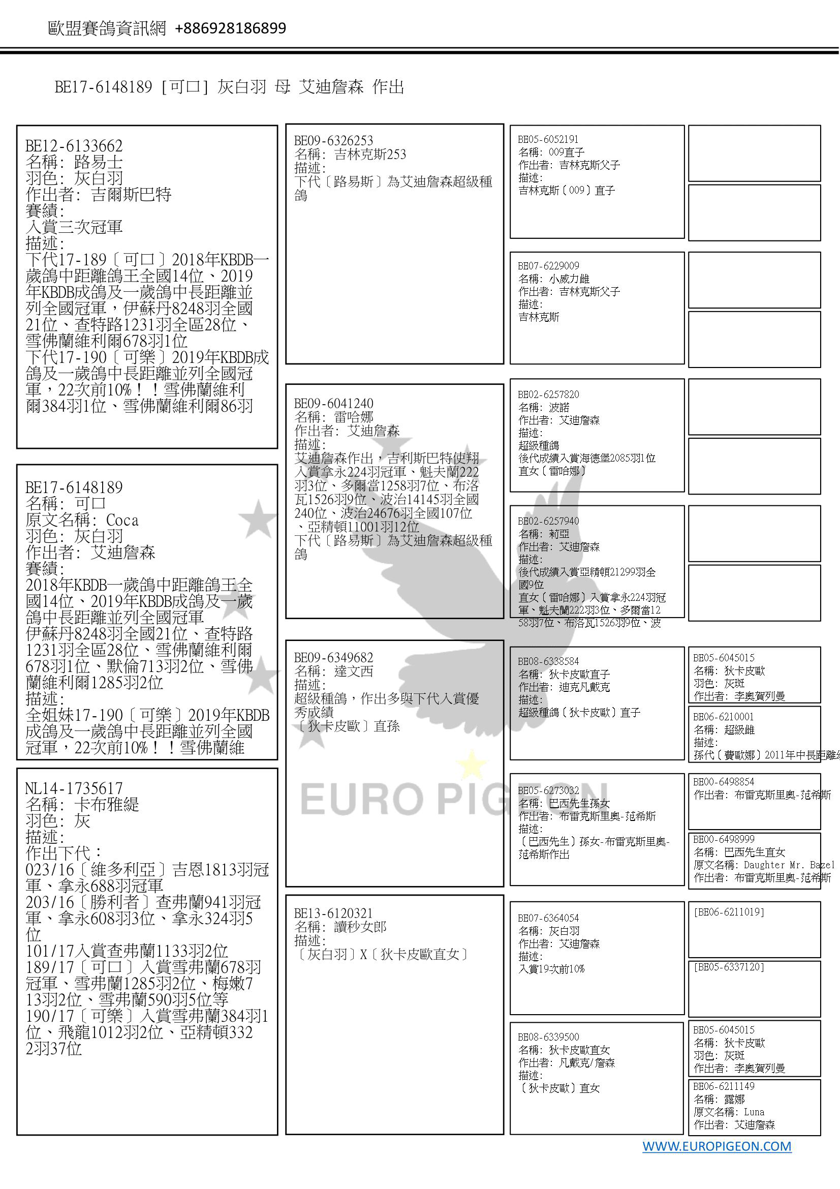 鴿子資訊 環號: BE17-6148189【可口】 姓名: - 性別: 母 顏色: 灰白羽 眼睛顏色: - 色環: - 描述 全姐妹17-190〔可樂〕2019年KBDB成鴿及一歲鴿中長距離並列全國冠軍，22次前10%！！雪佛蘭維利爾384羽1位、雪佛蘭維利爾86羽1位、費歐洛日1012羽2位、拿永897羽14位 全兄弟16-303〔勝利者〕幼鴿5次前10%、一歲鴿9次前10%！！基耶夫蘭467羽14位、拿永608羽3位、雪佛蘭維爾1434羽13位 全姐妹16-023〔維多利亞〕2016年KBDB幼鴿中距離鴿王全國19位、吉恩5470羽全省4位(1813羽1位) 比賽紀錄 2018年KBDB一歲鴿中距離鴿王全國14位、2019年KBDB成鴿及一歲鴿中長距離並列全國冠軍 伊蘇丹8248羽全國21位、查特路1231羽全區28位、雪佛蘭維利爾678羽1位、默倫713羽2位、雪佛蘭維利爾1285羽2位 父母及重要親屬 關係	描述 父親鴿	環號: BE12-6133662 姓名: 路易士 性別: ♂ 出生年: 2012 羽色: 灰白羽 作出者: 吉爾斯巴特 描述: 下代17-189〔可口〕2018年KBDB一歲鴿中距離鴿王全國14位、2019年KBDB成鴿及一歲鴿中長距離並列全國冠軍，伊蘇丹8248羽全國21位、查特路1231羽全區28位、雪佛蘭維利爾678羽1位 下代17-190〔可樂〕2019年KBDB成鴿及一歲鴿中長距離並列全國冠軍，22次前10%！！雪佛蘭維利爾384羽1位、雪佛蘭維利爾86羽1位、費歐洛日1012羽2位、拿永897羽14位 下代16-303〔勝利者〕幼鴿5次前10%、一歲鴿9次前10%！！基耶夫蘭467羽14位、拿永608羽3位、雪佛蘭維爾1434羽13位 下代16-023〔維多利亞〕2016年KBDB幼鴿中距離鴿王全國19位、吉恩5470羽全省4位(1813羽1位) 賽績: 入賞三次冠軍 ㄴ祖父鴿	環號: BE09-6326253 姓名: 吉林克斯253 性別: ♂ 出生年: 2009 描述: 下代〔路易斯〕為艾迪詹森超級種鴿 ㄴ祖母鴿	環號: BE09-6041240 姓名: 雷哈娜 性別: ♀ 出生年: 2009 作出者: 艾迪詹森 描述: 艾迪詹森作出，吉利斯巴特使翔 入賞拿永224羽冠軍、魁夫蘭222羽3位、多爾當1258羽7位、布洛瓦1526羽9位、波治14145羽全國240位、波治24676羽全國107位、亞精頓11001羽12位 下代〔路易斯〕為艾迪詹森超級種鴿 母親鴿	環號: NL14-1735617 姓名: 卡布雅緹 性別: ♀ 出生年: 2014 羽色: 灰 描述: 作出下代： 023/16〔維多利亞〕吉恩1813羽冠軍、拿永688羽冠軍 203/16〔勝利者〕查弗蘭941羽冠軍、拿永608羽3位、拿永324羽5位 101/17入賞查弗蘭1133羽2位 189/17〔可口〕入賞雪弗蘭678羽冠軍、雪弗蘭1285羽2位、梅嫩713羽2位、雪弗蘭590羽5位等 190/17〔可樂〕入賞雪弗蘭384羽1位、飛龍1012羽2位、亞精頓3322羽37位 〔狄卡皮歐〕直孫 X〔狄卡皮歐〕孫女 ㄴ祖父鴿	環號: BE09-6349682 姓名: 達文西 性別: ♂ 出生年: 2009 描述: 超級種鴿，作出多與下代入賞優秀成績 〔狄卡皮歐〕直孫 ㄴ祖母鴿	環號: BE13-6120321 姓名: 讀秒女郎 性別: ♀ 出生年: 2013 描述: 〔灰白羽〕X〔狄卡皮歐直女〕 重要親屬	同父同母兄弟姊妹 環號: BE17-6148190 姓名: 可樂 性別: ♀ 出生年: 2017 羽色: 灰白羽 作出者: 艾迪詹森 描述: 同孵17-189〔可口〕2018年KBDB一歲鴿中距離鴿王全國14位、2019年KBDB成鴿及一歲鴿中長距離並列全國冠軍，伊蘇丹8248羽全國21位、查特路1231羽全區28位、雪佛蘭維利爾678羽1位 全兄弟16-303〔勝利者〕幼鴿5次前10%、一歲鴿9次前10%！！基耶夫蘭467羽14位、拿永608羽3位、雪佛蘭維爾1434羽13位 全姐妹16-023〔維多利亞〕2016年KBDB幼鴿中距離鴿王全國19位、吉恩5470羽全省4位(1813羽1位) 賽績: 22次前10%！！ 2019年成鴿暨一歲鴿中長距離並列全國冠軍 雪佛蘭維利爾384羽1位、雪佛蘭維利爾86羽1位、費歐洛日1012羽2位、拿永897羽14位、默倫536羽18位、默倫1091羽27位、亞精頓3322羽全國37位