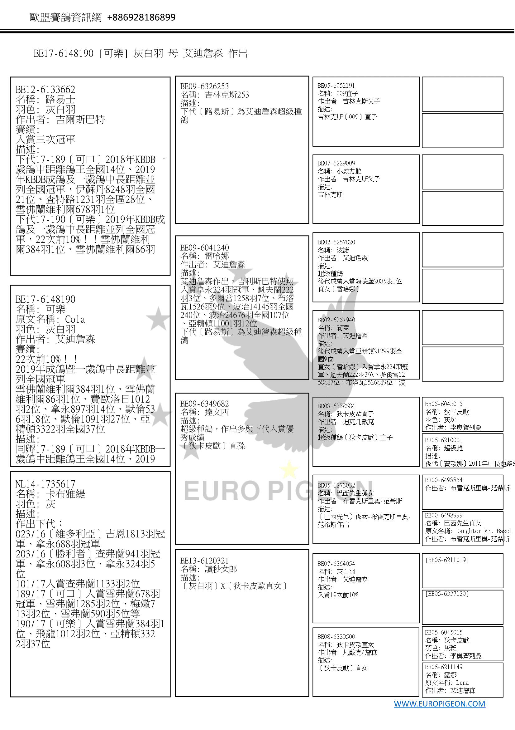 鴿子資訊 環號: BE17-6148190【可樂】 姓名: - 性別: 母 顏色: 灰白羽 眼睛顏色: - 色環: - 描述 同孵17-189〔可口〕2018年KBDB一歲鴿中距離鴿王全國14位、2019年KBDB成鴿及一歲鴿中長距離並列全國冠軍，伊蘇丹8248羽全國21位、查特路1231羽全區28位、雪佛蘭維利爾678羽1位 全兄弟16-303〔勝利者〕幼鴿5次前10%、一歲鴿9次前10%！！基耶夫蘭467羽14位、拿永608羽3位、雪佛蘭維爾1434羽13位 全姐妹16-023〔維多利亞〕2016年KBDB幼鴿中距離鴿王全國19位、吉恩5470羽全省4位(1813羽1位) 比賽紀錄 22次前10%！！ 2019年成鴿暨一歲鴿中長距離並列全國冠軍 雪佛蘭維利爾384羽1位、雪佛蘭維利爾86羽1位、費歐洛日1012羽2位、拿永897羽14位、默倫536羽18位、默倫1091羽27位、亞精頓3322羽全國37位 父母及重要親屬 關係	描述 父親鴿	環號: BE12-6133662 姓名: 路易士 性別: ♂ 出生年: 2012 羽色: 灰白羽 作出者: 吉爾斯巴特 描述: 下代17-189〔可口〕2018年KBDB一歲鴿中距離鴿王全國14位、2019年KBDB成鴿及一歲鴿中長距離並列全國冠軍，伊蘇丹8248羽全國21位、查特路1231羽全區28位、雪佛蘭維利爾678羽1位 下代17-190〔可樂〕2019年KBDB成鴿及一歲鴿中長距離並列全國冠軍，22次前10%！！雪佛蘭維利爾384羽1位、雪佛蘭維利爾86羽1位、費歐洛日1012羽2位、拿永897羽14位 下代16-303〔勝利者〕幼鴿5次前10%、一歲鴿9次前10%！！基耶夫蘭467羽14位、拿永608羽3位、雪佛蘭維爾1434羽13位 下代16-023〔維多利亞〕2016年KBDB幼鴿中距離鴿王全國19位、吉恩5470羽全省4位(1813羽1位) 賽績: 入賞三次冠軍 ㄴ祖父鴿	環號: BE09-6326253 姓名: 吉林克斯253 性別: ♂ 出生年: 2009 描述: 下代〔路易斯〕為艾迪詹森超級種鴿 ㄴ祖母鴿	環號: BE09-6041240 姓名: 雷哈娜 性別: ♀ 出生年: 2009 作出者: 艾迪詹森 描述: 艾迪詹森作出，吉利斯巴特使翔 入賞拿永224羽冠軍、魁夫蘭222羽3位、多爾當1258羽7位、布洛瓦1526羽9位、波治14145羽全國240位、波治24676羽全國107位、亞精頓11001羽12位 下代〔路易斯〕為艾迪詹森超級種鴿 母親鴿	環號: NL14-1735617 姓名: 卡布雅緹 性別: ♀ 出生年: 2014 羽色: 灰 描述: 作出下代： 023/16〔維多利亞〕吉恩1813羽冠軍、拿永688羽冠軍 203/16〔勝利者〕查弗蘭941羽冠軍、拿永608羽3位、拿永324羽5位 101/17入賞查弗蘭1133羽2位 189/17〔可口〕入賞雪弗蘭678羽冠軍、雪弗蘭1285羽2位、梅嫩713羽2位、雪弗蘭590羽5位等 190/17〔可樂〕入賞雪弗蘭384羽1位、飛龍1012羽2位、亞精頓3322羽37位 〔狄卡皮歐〕直孫 X〔狄卡皮歐〕孫女 ㄴ祖父鴿	環號: BE09-6349682 姓名: 達文西 性別: ♂ 出生年: 2009 描述: 超級種鴿，作出多與下代入賞優秀成績 〔狄卡皮歐〕直孫 ㄴ祖母鴿	環號: BE13-6120321 姓名: 讀秒女郎 性別: ♀ 出生年: 2013 描述: 〔灰白羽〕X〔狄卡皮歐直女〕 重要親屬	同父同母兄弟姊妹 環號: BE17-6148189 姓名: 可口 性別: ♀ 出生年: 2017 羽色: 灰白羽 作出者: 艾迪詹森 描述: 全姐妹17-190〔可樂〕2019年KBDB成鴿及一歲鴿中長距離並列全國冠軍，22次前10%！！雪佛蘭維利爾384羽1位、雪佛蘭維利爾86羽1位、費歐洛日1012羽2位、拿永897羽14位 全兄弟16-303〔勝利者〕幼鴿5次前10%、一歲鴿9次前10%！！基耶夫蘭467羽14位、拿永608羽3位、雪佛蘭維爾1434羽13位 全姐妹16-023〔維多利亞〕2016年KBDB幼鴿中距離鴿王全國19位、吉恩5470羽全省4位(1813羽1位) 賽績: 2018年KBDB一歲鴿中距離鴿王全國14位、2019年KBDB成鴿及一歲鴿中長距離並列全國冠軍 伊蘇丹8248羽全國21位、查特路1231羽全區28位、雪佛蘭維利爾678羽1位、默倫713羽2位、雪佛蘭維利爾1285羽2位