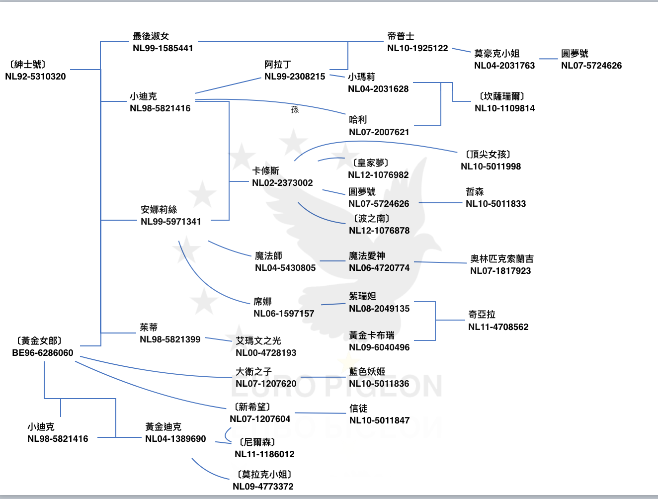 考夫曼血系介紹（二）小迪克家族 考夫曼的小迪克家族大部分的人都知曉，他的子嗣也席捲世界鴿壇，到了現在仍然有許多銘鴿是小迪克的後代，例如楊胡曼斯的〔哈利〕、李奧賀列曼的〔奧林匹克麻鷹〕、沃克父子的〔奧林匹克索蘭吉〕、佛布利父子的〔馬其諾〕、瑞克賀爾曼的〔友誼號〕、〔妮姬〕等，這些要不是有小迪克家族的助力，目前也就沒有這些銘鴿了，所以我們說考夫曼的小迪克家族現代世界鴿壇的創造者也不為過。 關於小迪克家族，主要為開創祖師配對可以說是〔紳士號〕X〔黃金女郎〕，這個配對主要產生的超級種鴿有〔小迪克〕、〔安娜莉絲〕、〔茱蒂〕等。  NL98-5821416♂〔小迪克〕	 ◎	吉拉德考夫曼本舍世界級名鴿 ◎	［紳士號］X［黃金女郎］作出 ◎	［紳士號］入賞1997奧林匹克鴿王 ◎	［黃金女郎］為迪克凡戴克［所向無敵］直女  父：NL92-5310320〔紳士號〕 1997奧林匹克長距離鴿王 1995當日歸長距離鴿王2位 1994當日歸長距離鴿王4位 奧爾良4006羽1位 麥德豪1407羽1位 父：NL88-4024619［ 艾力克］        父鴿［ 詹森火箭84］詹森兄弟本舍 母：NL91-5112715［ 紳士號之母］        ［ 愛座者］孫女  祖父：NL88-4024619〔艾力克〕 考夫曼C&G Koopman 詹森小火箭直孫.4次1位，烏單15511羽1位、貝克14881羽1位等 孫：NL99-5971341安娜麗絲 NL98-5821416 小迪克 Kleine Dirk 子：NL92-5310320 紳士 Gentil  祖母：NL91-5112715〔紳士之母〕 考夫曼C&G Koopman 子：NL92-5310320 紳士 1997奧林匹克全能代表鴿  母：BE96-6286060〔黃金女郎〕	 迪克‧凡戴克本舍，［所向無敵］直女，考夫曼黃金種鴿配對 子：［小迪克］ 99-荷蘭鴿王全國冠軍 女：［安娜麗絲］ 99荷蘭鴿王1位 孫：NL98-582470艾瑪文先生 孫：NL00-4728193艾瑪文之光 孫：NL00-5063949愛神 都是01、03奧林匹克代表鴿 孫：NL06-1597157 席娜 孫：NL08-5821683 亞蘭尼先生 09-NPO布魯瓦6279羽冠軍  外祖父：BE95-6246005〔所向無敵〕 迪克凡戴克本舍 96-K.B.D.B中距離鴿王全國1位 孫：NL99-5971341安娜麗絲 奇梅345公里15438羽1位 馬尼865羽1位 杜爾丹727羽1位 杜爾丹694羽1位 拿永157羽1位 杜爾丹1060羽3位 拿永290羽5位 奧爾良5145羽省賽7位 杜爾丹1004羽7位 考夫曼大名鴿［小迪克］外祖父 考夫曼黃金種母［黃金女郎］之父 父：B93-6621023［藍波］        本身1994安特衛普聯盟3次冠軍        直子［波治號］1994波治40401羽 全國2位 母：B90  外祖母：BE92-6440008〔藍波妹〕 凡代克 Lauis Van Dyck 孫：NL99-5971341安娜麗絲 奇梅345公里15438羽1位